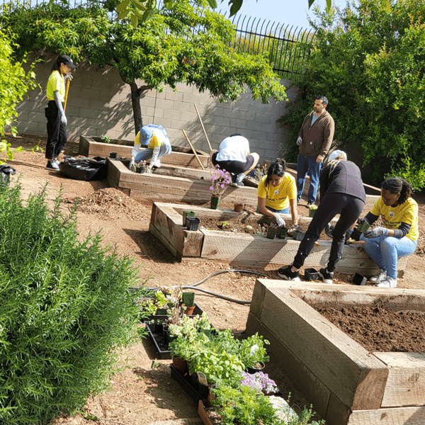 ACOF- Careers. Property residents gardens.